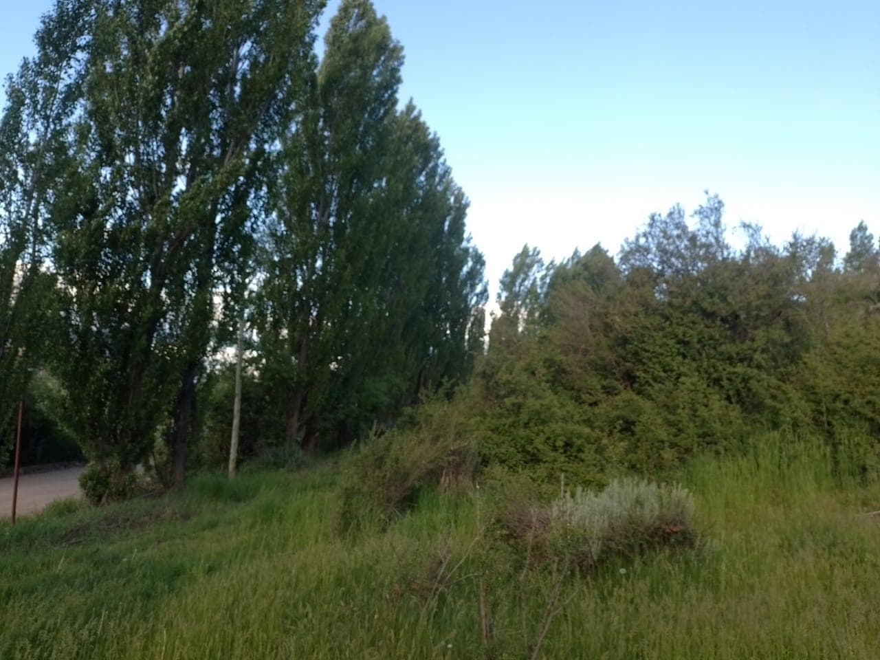 Terreno en venta en Cholila, Chubut | 811 m² con vista a la cordillera