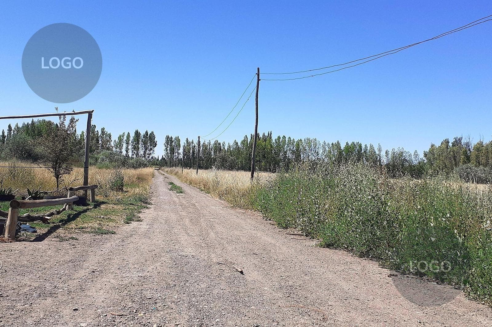 En Venta | Chacra 6 hectáreas | Allen