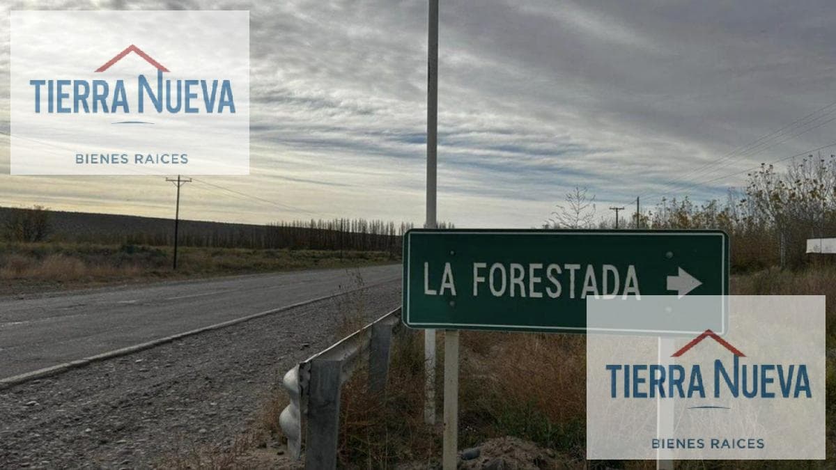 LOTE APTO DESARROLLO - LA FORESTADA - AÑELO RUTA 17