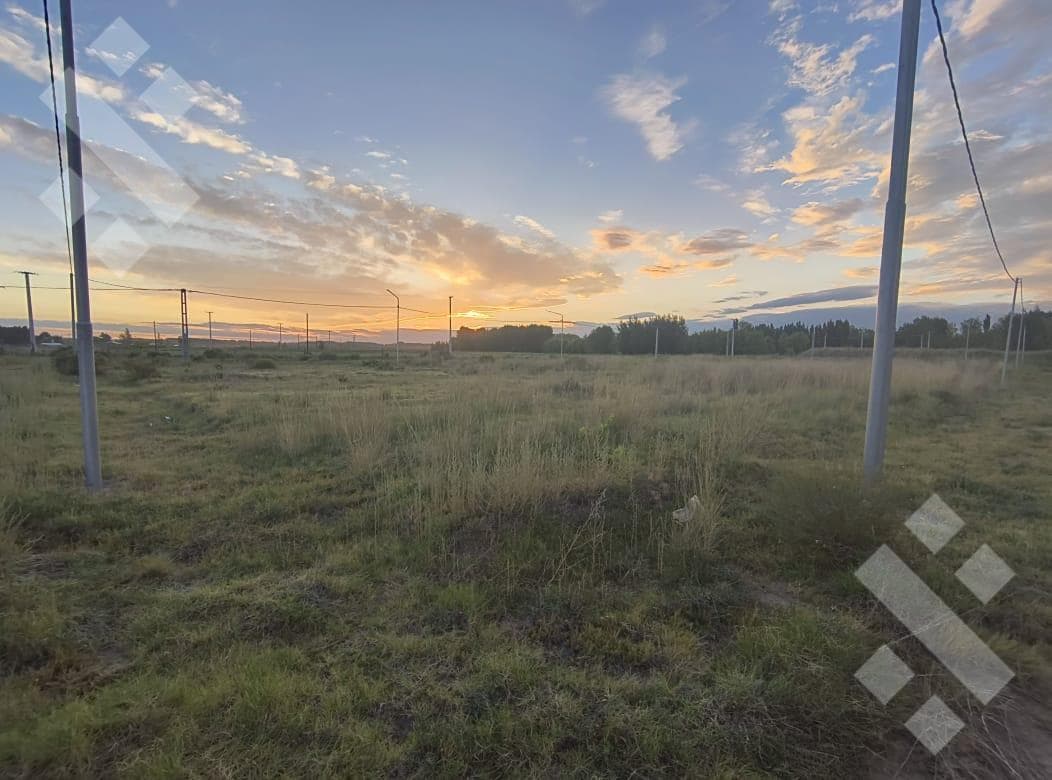 VENTA LOTE 250 M2 CHINA MUERTA