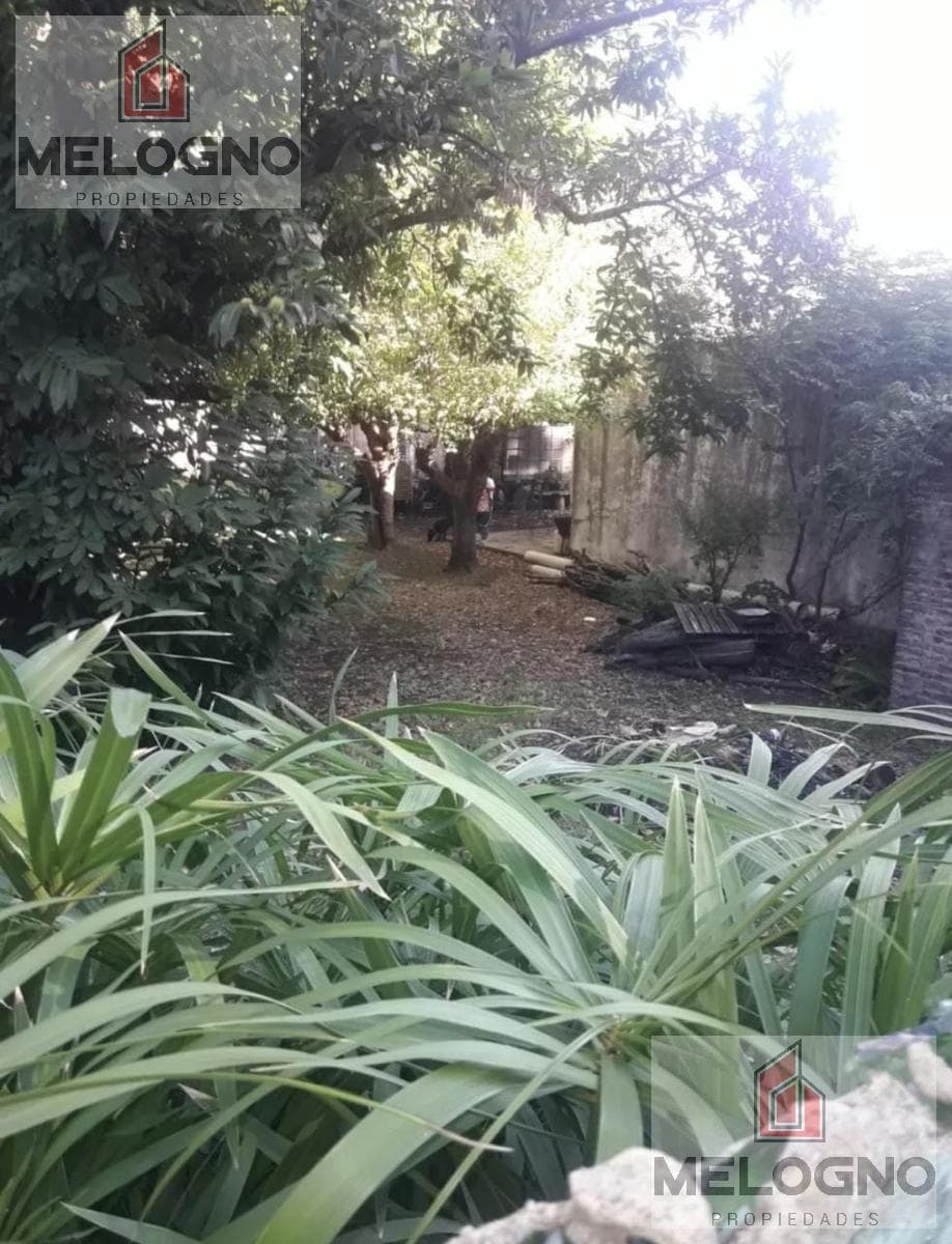 Terreno - Luis Guillon