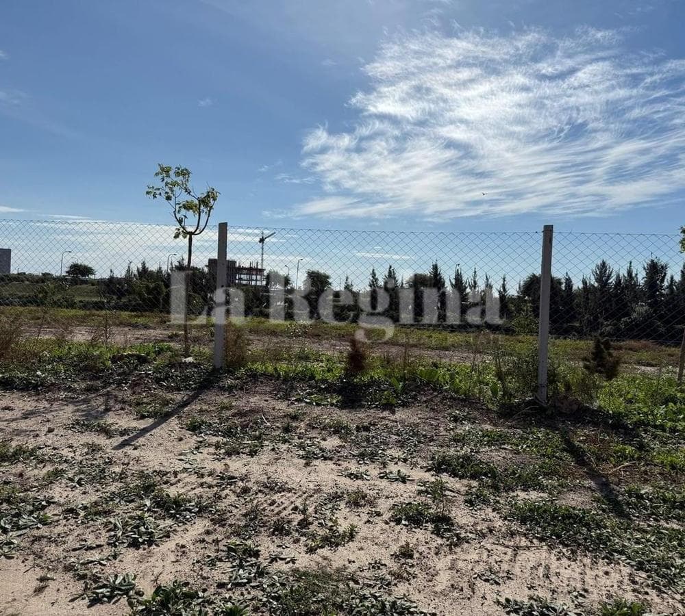 Terreno Lote en Venta en Silvestre, Nordelta, Tigre