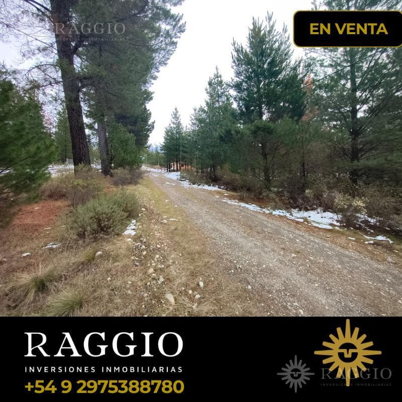 Terreno 750 M2 - Epuyen | Chubut